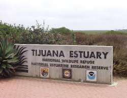 The Tijuana River National Estuarine Research Reserve is a natural reserve not far from the beach. One can visit and spend time bird-watching. There a